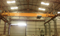 DOUBLE DRIVE SINGLE GIRDER EOT CRANE